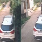 SP ने जिले में चोरी के 80 मोबाइल को लोगों को लौटाया